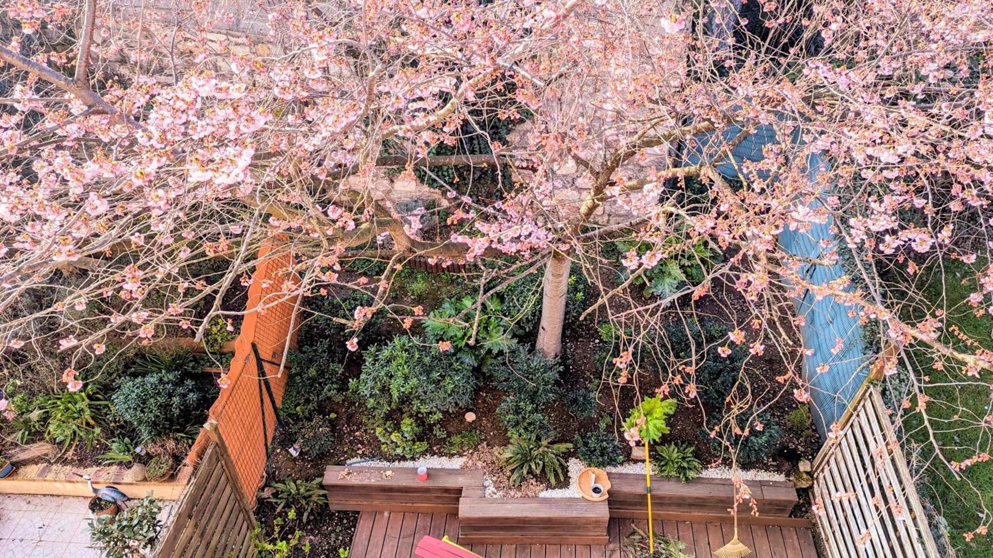 Apartmán Maison Avec Jardin Au Sud De Paris Gentilly Exteriér fotografie